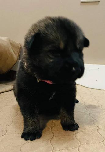 6daad89165b8f0a407d918873c52ef96.0