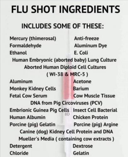 Flu Shot Ingredients