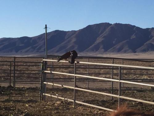 19:17:18 GMT-0800 (PST).image