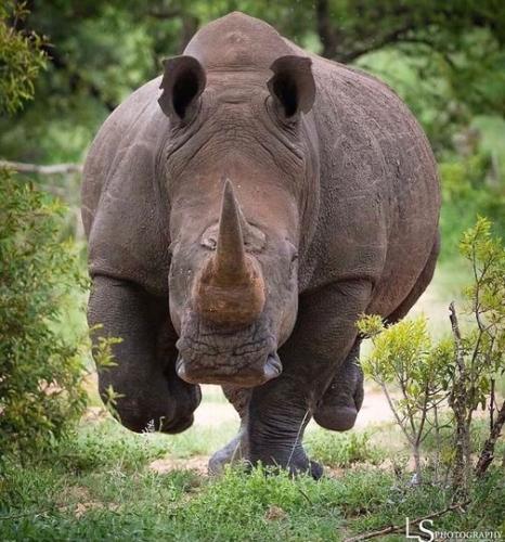 132080183_3512313682192408_3693684685178341631_o