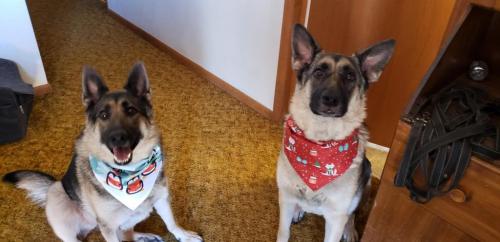 11:45:33 GMT-0700 (MST)