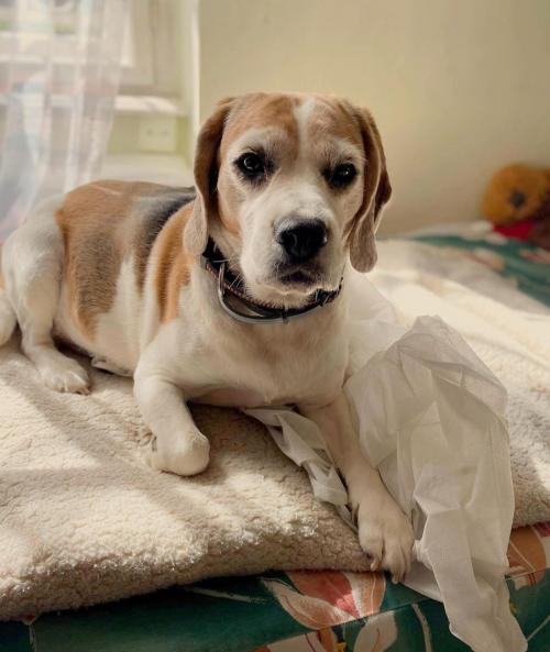 22:26:42 GMT+0100 (WAT).image