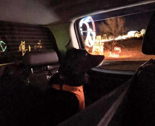 81B23A04-3DF4-4C4C-B1AF-81D822BEDDE4