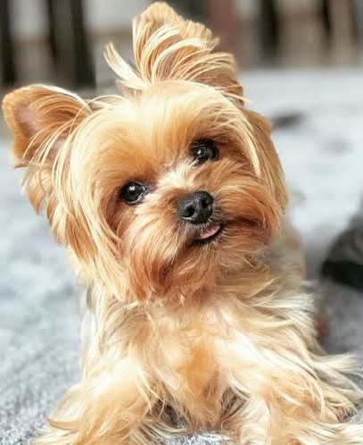 21:24:16 GMT+0100 (WAT)