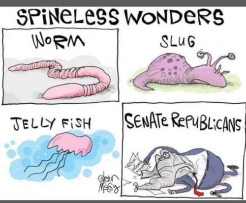 128551493_2652473181749685_1514603816842870474_n