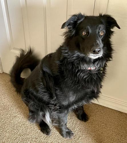 685DF4B8-ECCD-493D-AC7C-426AD1226354