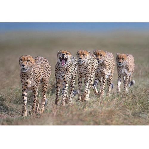 129278004_665258794151681_5105464816695286963_o