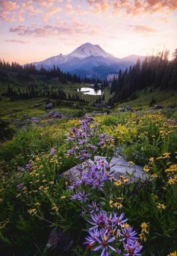 tumblr_48865ecb1f9eaaaee6e2d12f0b5a214a_24d2b40f_540