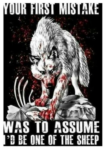 Screenshot_2020-11-16-08-02-08-1