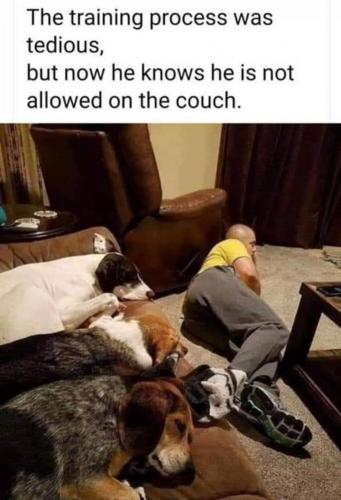 22:07:40 GMT-0800 (PST).image