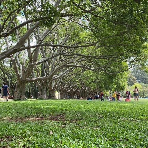 17:07:05 GMT-0500 (EST).image