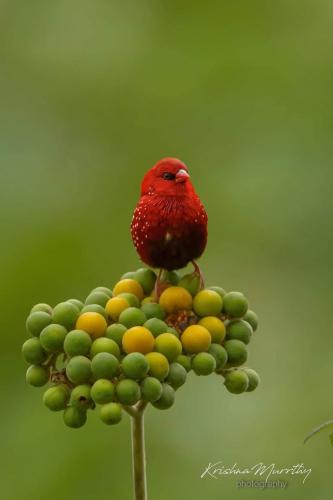 05:14:57 GMT-0600 (CST)