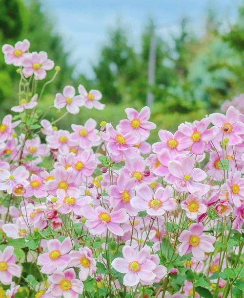 13:11:45 GMT-0700 (MST).image