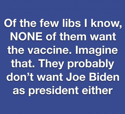 EE691702-9A94-4BA2-8A83-DCDC3E738E5A-14805-00000C35AFF83635