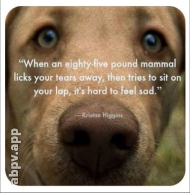 06:47:20 GMT-0600 (CST).image