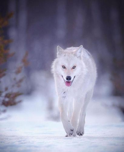 132508081_222525006108200_8582291168173655165_o