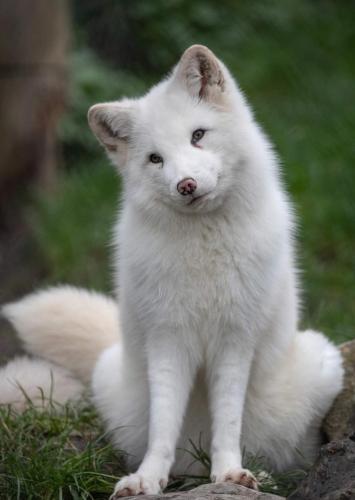 04:08:32 GMT-0600 (CST)