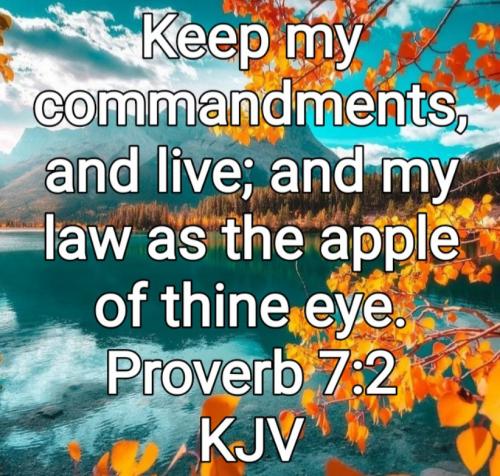 02:07:22 GMT-0800 (PST)