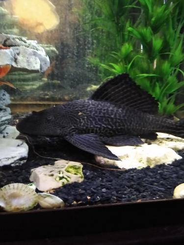 05:21:57 GMT-0600 (CST)