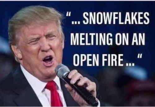 20:25:45 GMT-0500 (EST).image