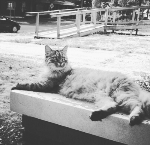 22:56:39 GMT-0600 (CST)