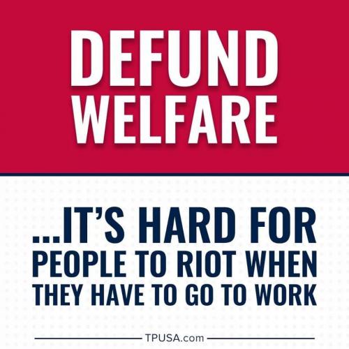 1B6FE7F4-5BE8-4071-B43E-B6DEA4F8CC44-27010-000013F0C219163B