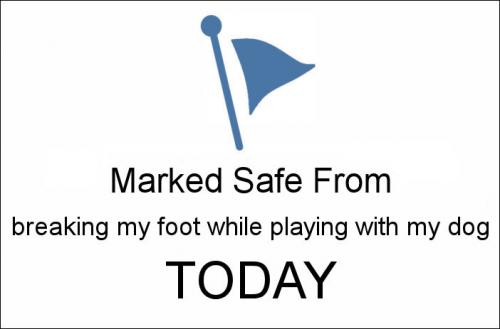 breaking my foot while playing with my dog
