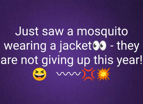 13:46:21 GMT-0600 (CST)