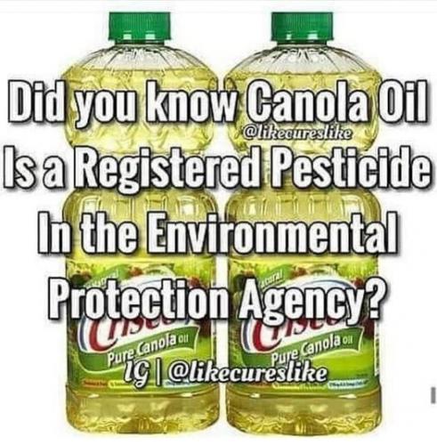 canolaoil_o