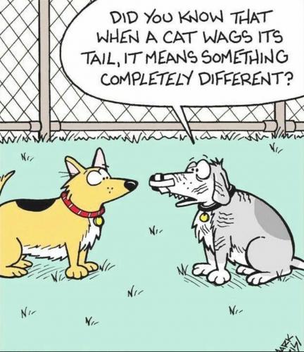 09:54:47 GMT-0700 (MST).image