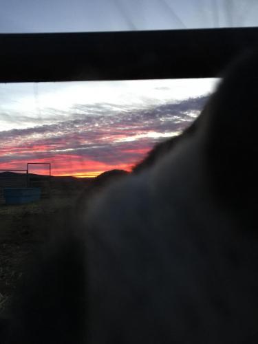 20:11:43 GMT-0800 (PST).image