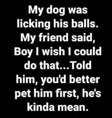 DOG BALLS