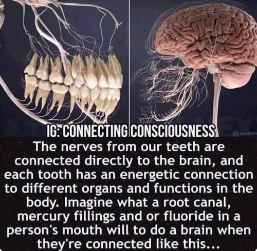 02:16:51 GMT+1100 (AEDT)