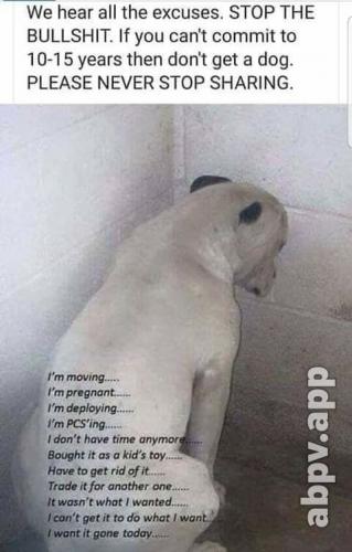 07:35:18 GMT-0600 (CST).image