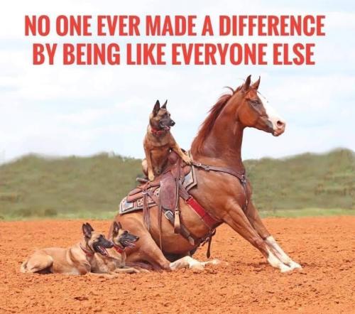 06:24:17 GMT-0600 (CST).image