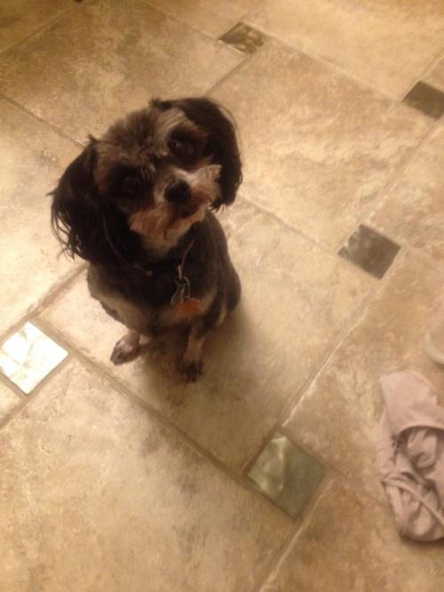 18:26:31 GMT+0100 (WAT).image