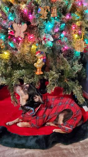 22:09:36 GMT-0500 (EST)