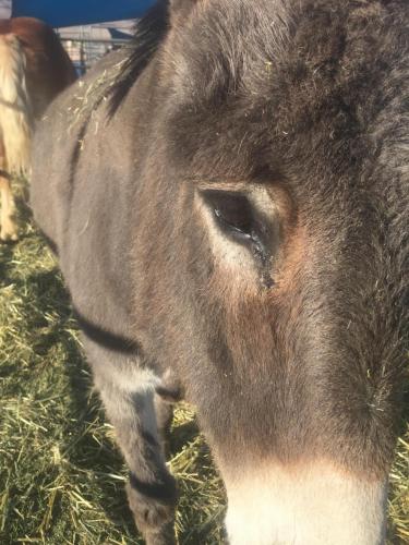 07:11:33 GMT-0800 (PST).image