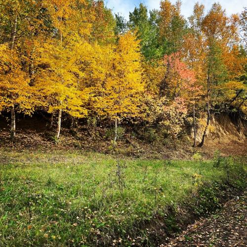 20:58:48 GMT-0700 (MST).image