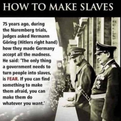 tumblr_bdf23a78abf59391e11e9d0af0ffc0e2_76db90c1_540