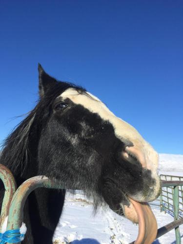 08:25:52 GMT-0800 (PST).image