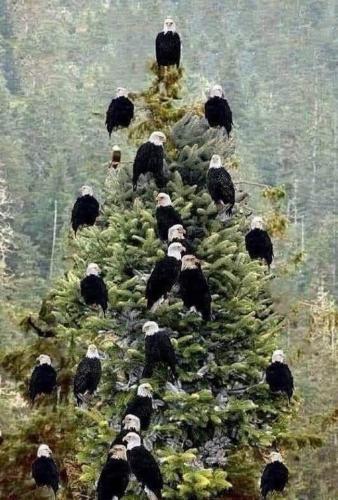 131271610_10216445537204730_4009912971702123124_n