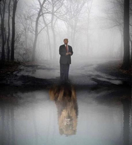 129541116_2759793834335999_7166880018708518238_o