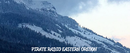 117646417_3237763146309208_891005375968818732_o