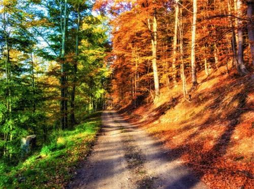 QVZkTjVlTEVwYm5ZTTE1Sw