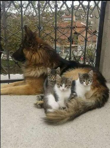 12:22:20 GMT-0600 (CST)