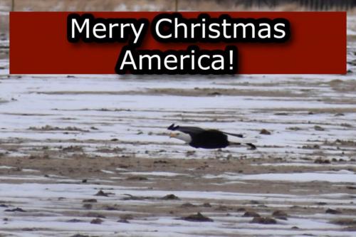 31ACE061-D405-4B26-A261-E69363D4F46C-25470-000012D09074FD24