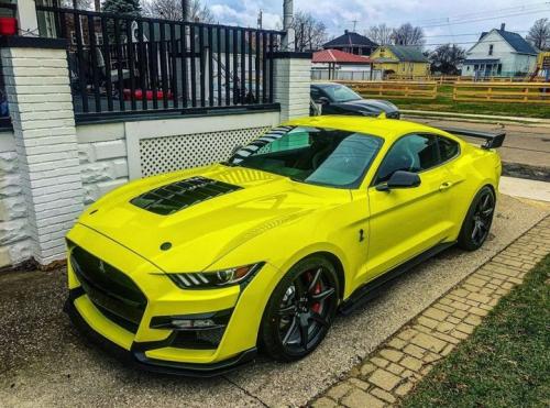 128624866_3860803303930443_8745464290684848112_o