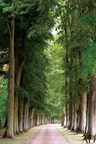 03:34:48 GMT-0600 (CST)