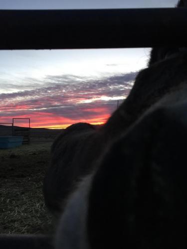 20:11:43 GMT-0800 (PST).image